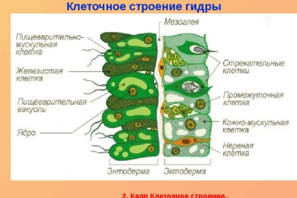 Кракен сайт сегодня
