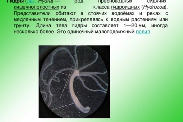 Кракен дарк сайт