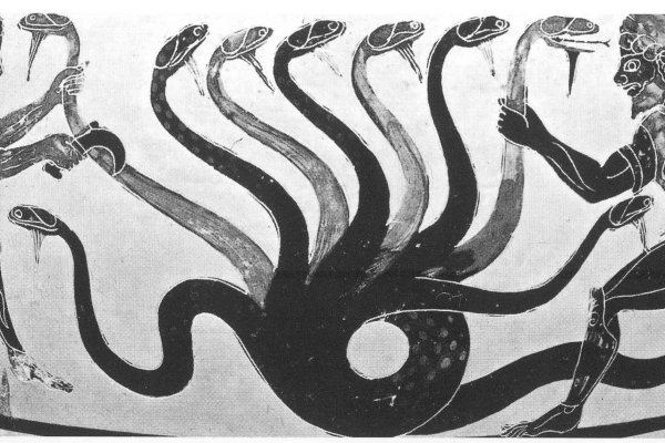 Kraken forum