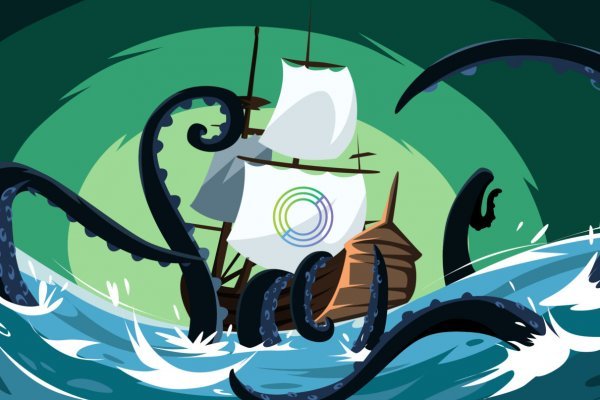 Kraken 24 top